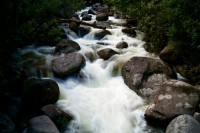 /album/fotogalerie-waikato/wairere-falls-walk-jpg/
